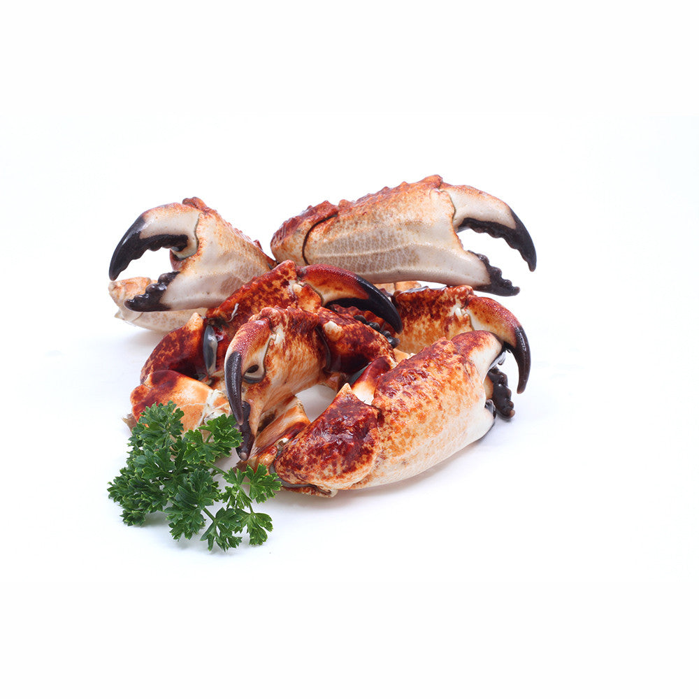 Buy Stone Crab Claws – Santa Barbara Fish Market