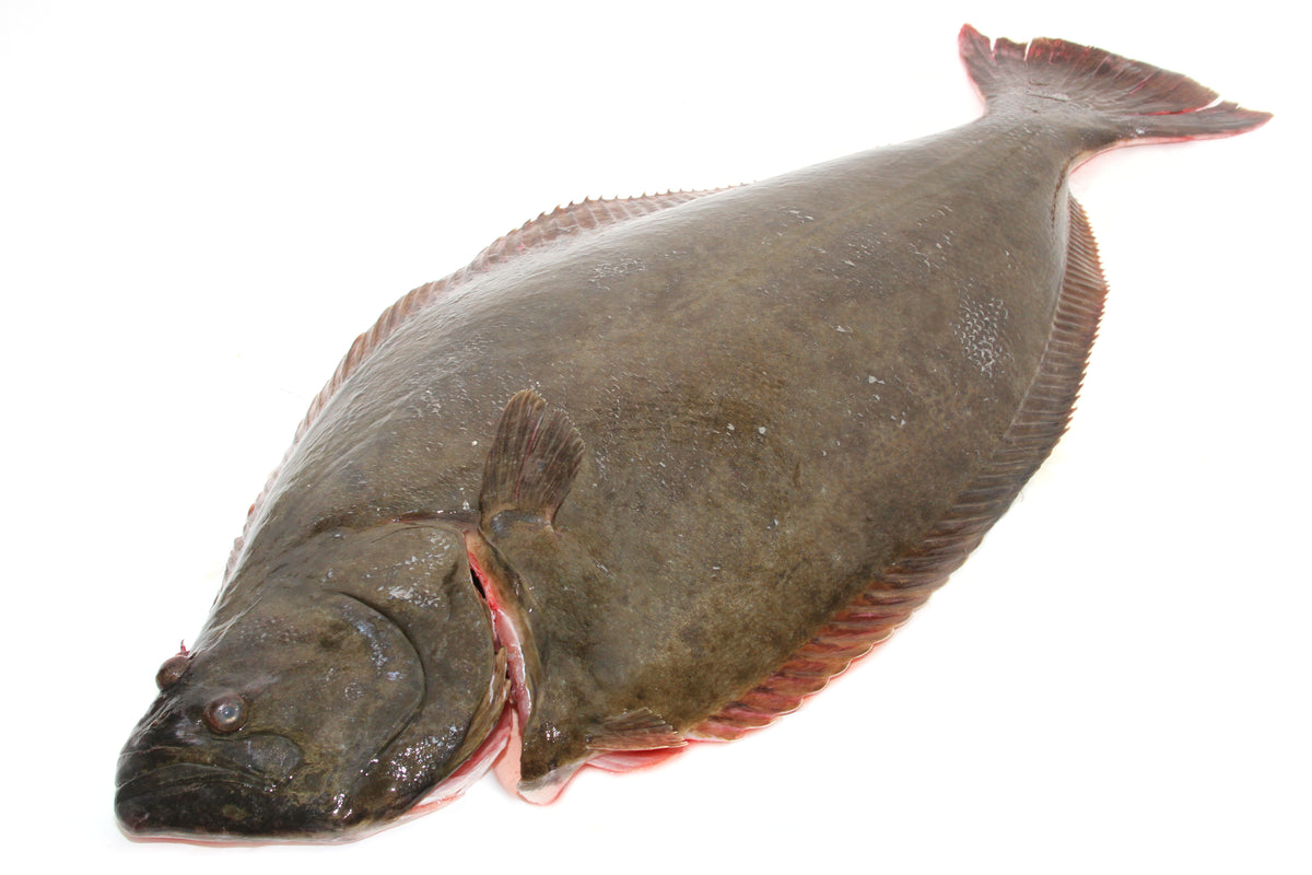 Halibut Fish Price Per Pound Collectisale