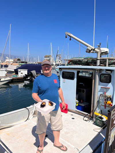 Our Fishermen - Harry Liquornik