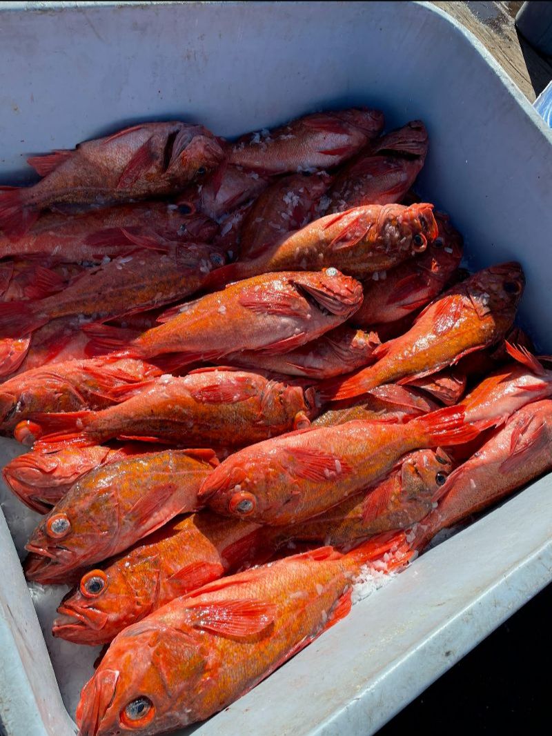 California Seafood – Santa Barbara Fish Market