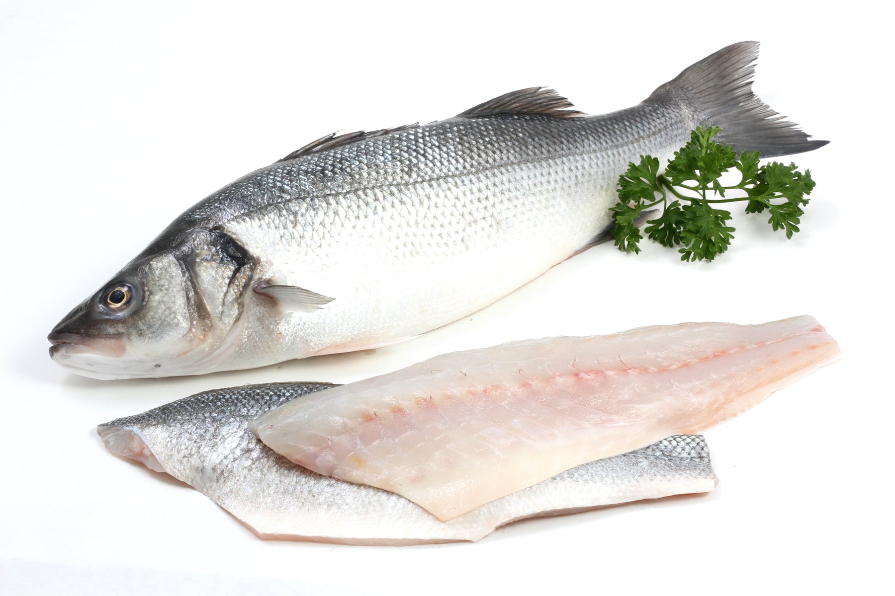 Buy King Salmon – Santa Barbara Fish Market