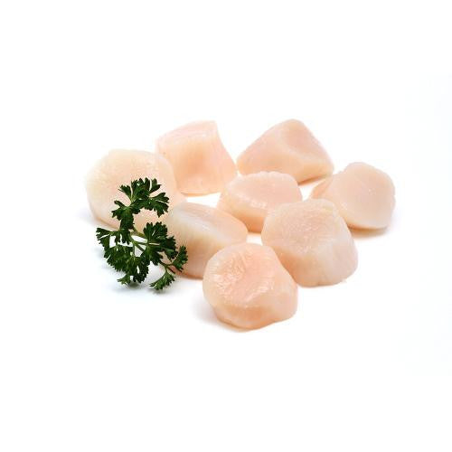 Scallops – Santa Barbara Fish Market